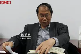 北大教授陈平原：中文系读了有什么用？视频封面