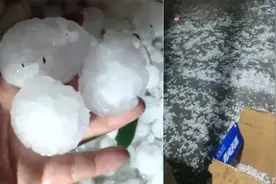 菏泽多地昨夜突降冰雹：最大似鸡蛋砸烂遮阳网 车辆盖上棉被防护视频封面