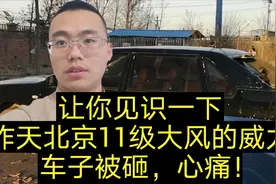 带你见识一下北京昨天的11级大风威力，车被砸，心碎了一地视频封面