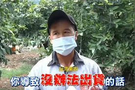 大陆暂停台湾莲雾释迦输入，台湾果农要哭了：很沮丧，不知怎么办视频封面