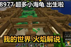 我的世界 火焰解说 8977 超多小海龟 出生啦