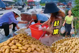 猕猴桃竟然这么便宜，现挖新鲜花生超值，凉薯甜又脆还能炒菜吃！视频封面
