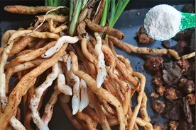 用这2料给兰花促根，一个月后脱盆一看，水晶根布满盆视频封面