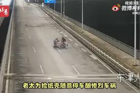 老太为捡纸壳随意停车酿惨烈车祸 随后径直离开辩称“我不知道”视频封面