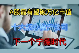 A股五年高景气赛道的十大优质龙头公司，值得收藏研究！视频封面