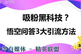 头条自媒体粉丝增长慢？看这里，利用悟空问答快速吸粉的3大方法视频封面