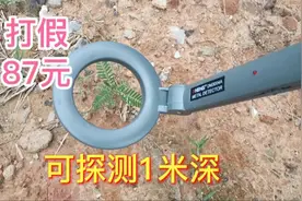 拼多多87元金属探测器，这玩意居然能探测1米深的竹笋？你用过吗视频封面