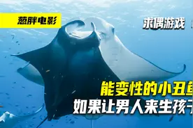 能变性的小丑鱼 如果让男人来生孩子 奇妙的海洋动物视频封面