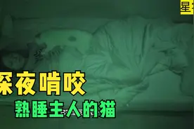 白天温顺的猫一到深夜就撕咬主人，女孩脸部缝合16针视频封面