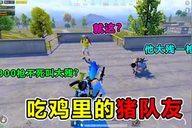 搞笑吃鸡：和平精英暗号大全，学会这些，再也不怕猪队友！