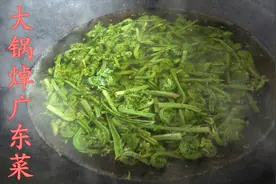 大雷收到一份山野菜，东北黄瓜香又名广东菜，用它炒五花肉贼好吃