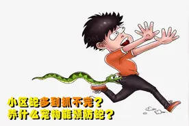 蛇多到抓不完？南宁一小区惊现眼镜蛇银环蛇，养猫狗能防蛇吗？视频封面