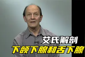 艾氏解剖｜下颌下腺和舌下腺
