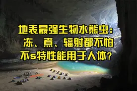 地表最强生物水熊虫：冻、煮、辐射都不怕，不s特性能用于人体？视频封面