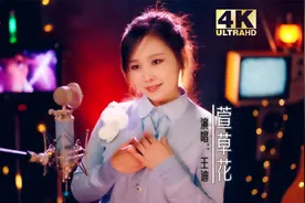 《你好，李焕英》主题曲《萱草花》，治愈系女声，太好听了！视频封面