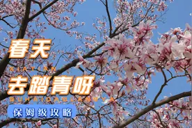 为什么都喜欢去白云雁水健身公园？五一劳动节假期去踏青吧！视频封面