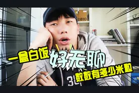 好无聊的挑战！正常人的一盒米饭到底有多少粒米?小伙数到麻木