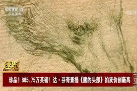 珍品！885.75万英镑！达·芬奇素描《熊的头部》拍卖价创新高视频封面
