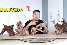 4种沉木，首选哪个？带你了解如何选择沉木和不同用法视频封面