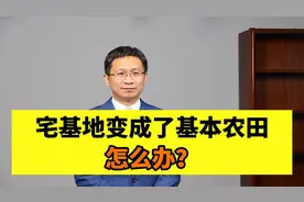 宅基地变成了基本农田，怎么办？视频封面