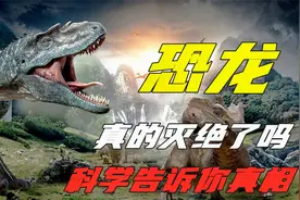 恐龙真的灭绝了吗？地球上还有没有恐龙存在？科学告诉你真相视频封面