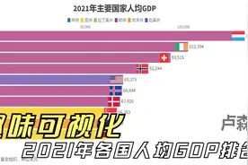 【趣味可视化】2021年主要国家人均GDP排名视频封面