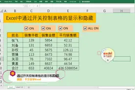 Excel中通过开关控制表格的显示和隐藏，简单到没朋友！视频封面