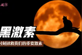 褪黑激素！在关键时刻拯救内分泌的重要激素视频封面