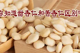 老中医养生谈：你知道甜杏仁和苦杏仁区别吗视频封面