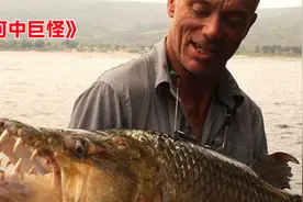 男人在亚马逊河边小便，就被一条怪鱼顺着尿路钻进体内视频封面