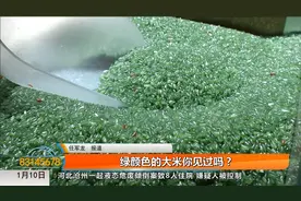 绿色大米亮相西安 原来是菠菜粉葛根粉竹叶粉等加工而成