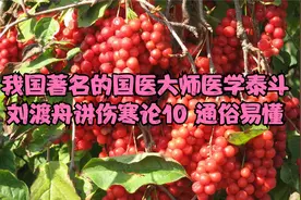 我国著名的国医大师医学泰斗 刘渡舟讲伤寒论10 通俗易懂视频封面
