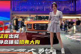 成都车展：猛宠出窝 静态体验哈弗大狗视频封面