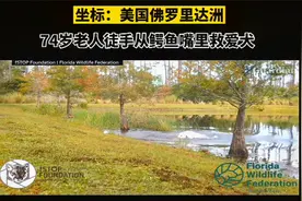 74岁老人徒手从鳄鱼嘴里救爱犬视频封面