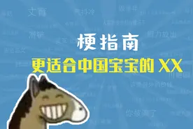 更适合中国宝宝体质的XX是什么梗【梗指南】