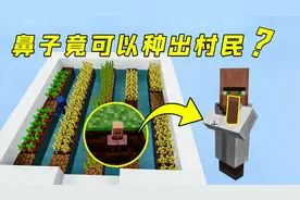 我的世界：村民的鼻子竟能种地？还能长出新的村民，太神奇了！