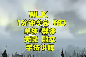 魔兽世界巫妖王之怒WLK 3.35 野德天赋雕文单体群体导图手法教学视频封面