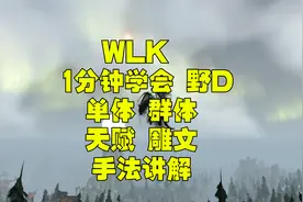 魔兽世界巫妖王之怒WLK 3.35 野德天赋雕文单体群体导图手法教学视频封面