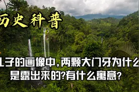 孔子的画像中,两颗大门牙为什么是露出来的?有什么寓意？视频封面