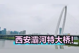 实拍西安第二大河流，灞河，看看有什么不一样？视频封面