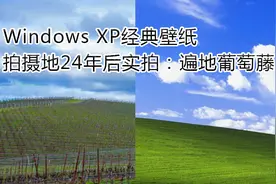 Windows XP经典壁纸拍摄地24年后实拍：遍地葡萄藤视频封面