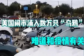 老M闹市涌入数万只“乌鸦”，扎堆聚集在停车场，难道和疫情有关视频封面