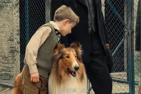 《灵犬莱西》高清完整版2狗狗被穷主人卖掉，穿越万水千山跑回家视频封面