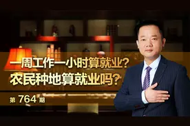 一周工作一小时算就业？农民种地算就业吗？视频封面