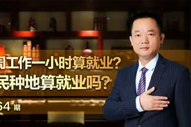 一周工作一小时算就业？农民种地算就业吗？视频封面