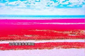 8K和4K究竟有何区别？中国工程院院士在线解读视频封面
