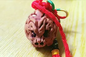 桃桃和你聊聊生肖猪今年的感情运势视频封面