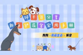 狗狗奇葩坐姿解密视频封面