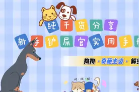 狗狗奇葩坐姿解密视频封面