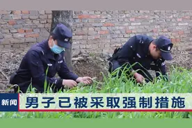 河南一男子为了尝鲜种罂粟：没想到长出来这么多，还被警察发现了视频封面